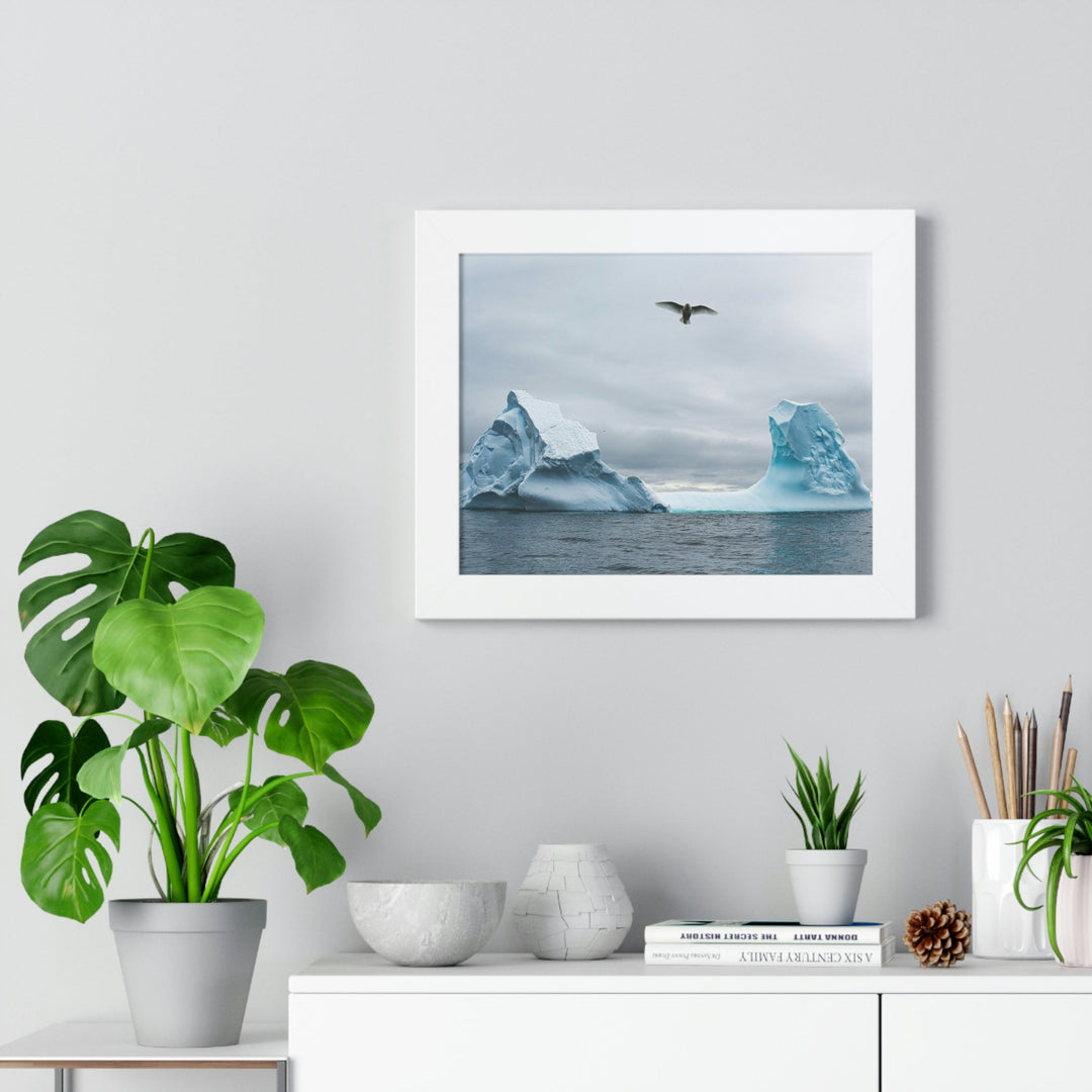 Antarctic Flight - Framed Print - Visiting This World