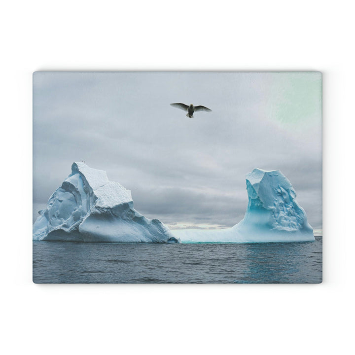 Antarctic Flight - Glass Cutting Board - Visiting This World