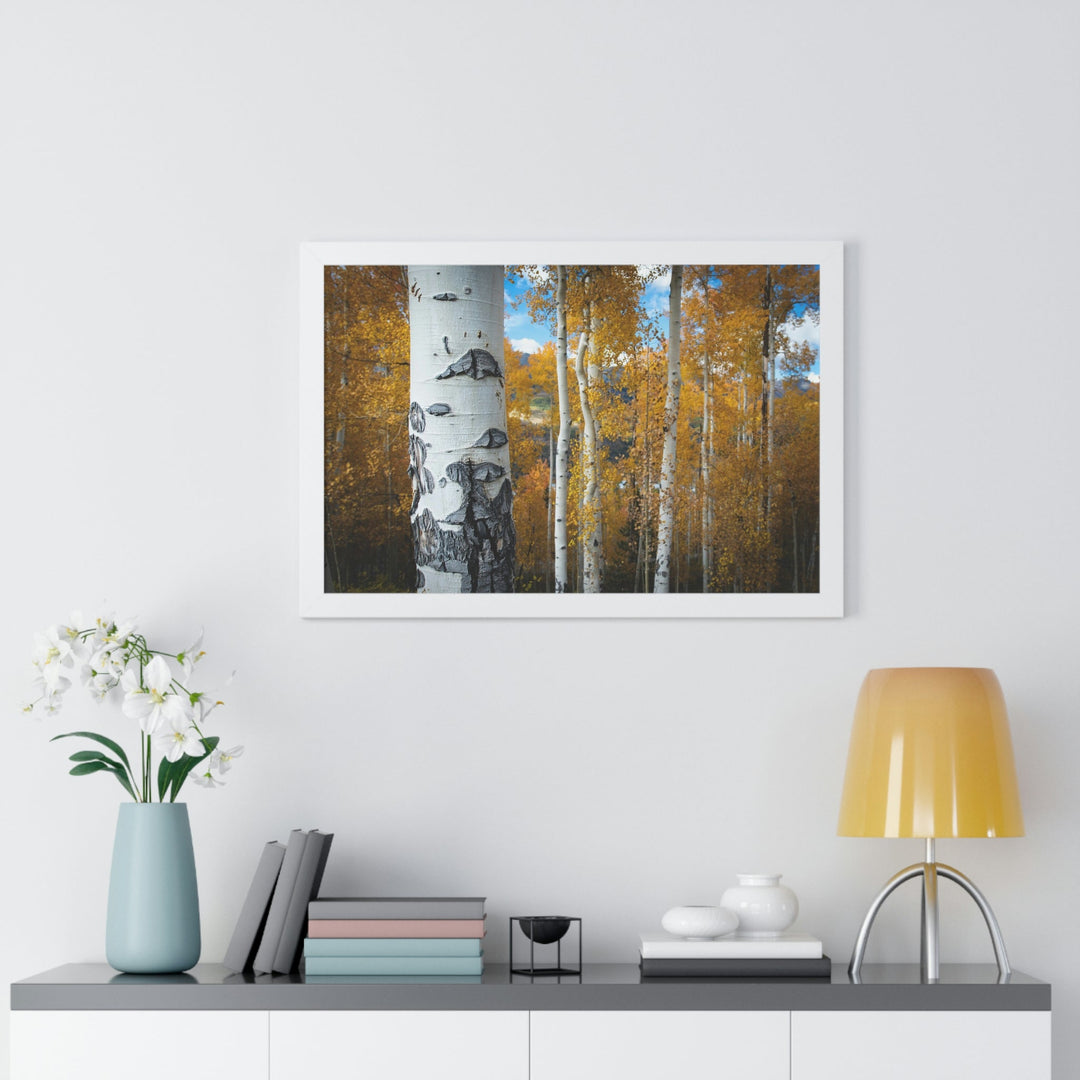 Aspens Changing - Framed Print - Visiting This World