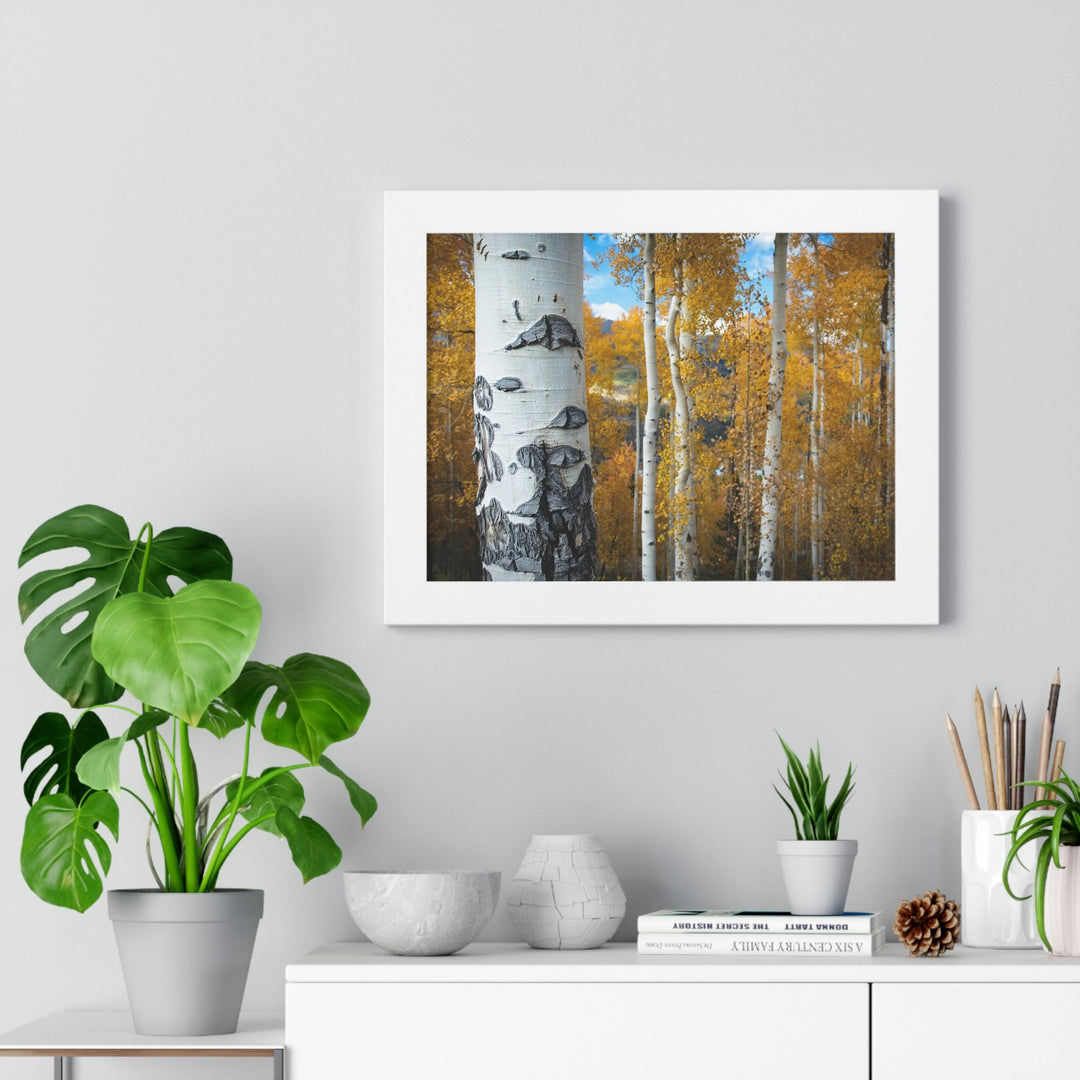 Aspens Changing - Framed Print - Visiting This World