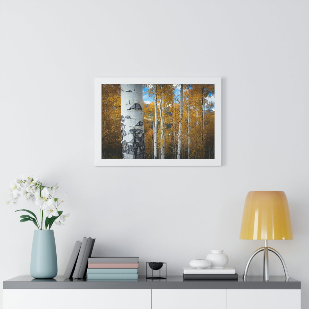 Aspens Changing - Framed Print - Visiting This World