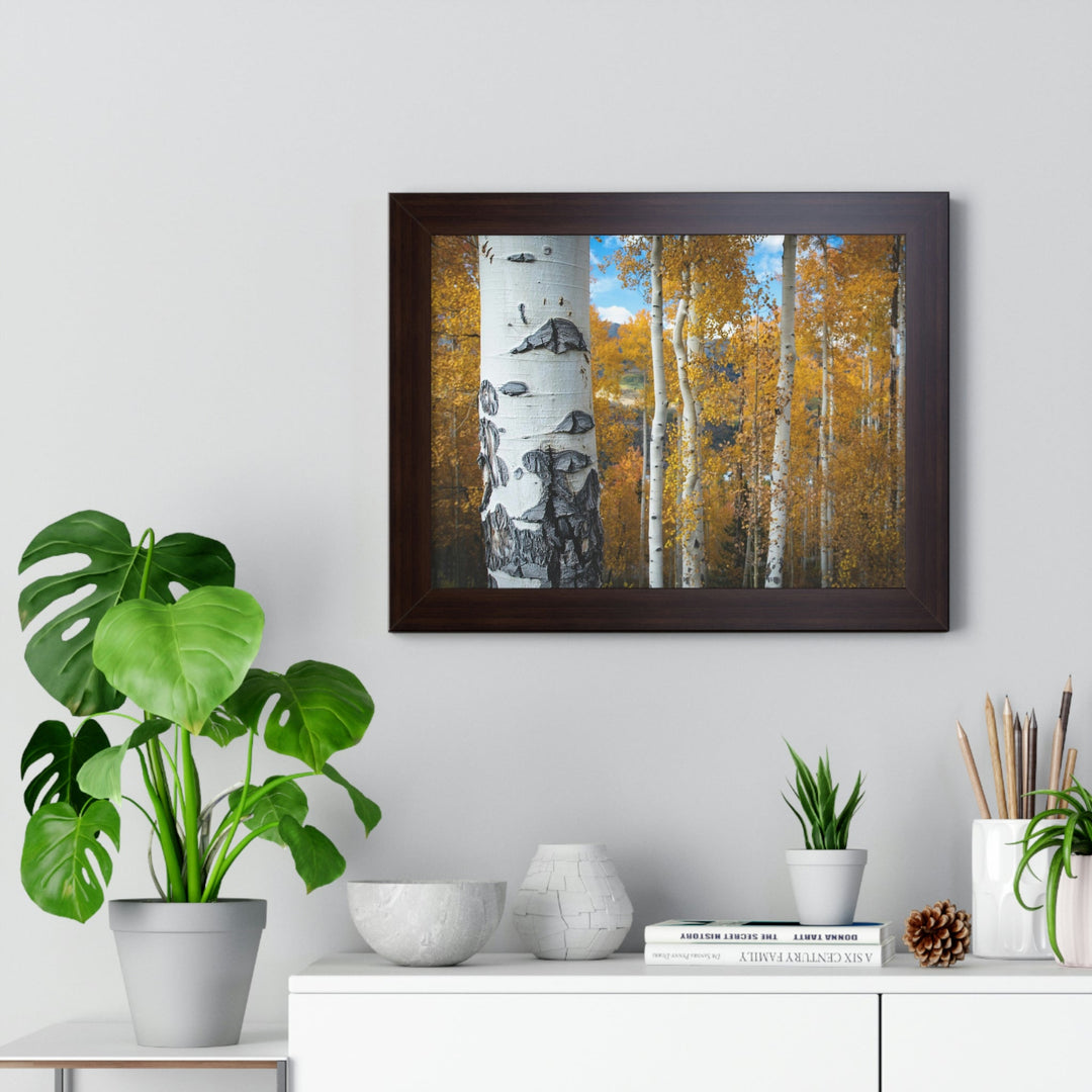 Aspens Changing - Framed Print - Visiting This World