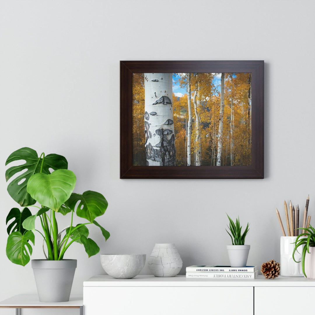 Aspens Changing - Framed Print - Visiting This World