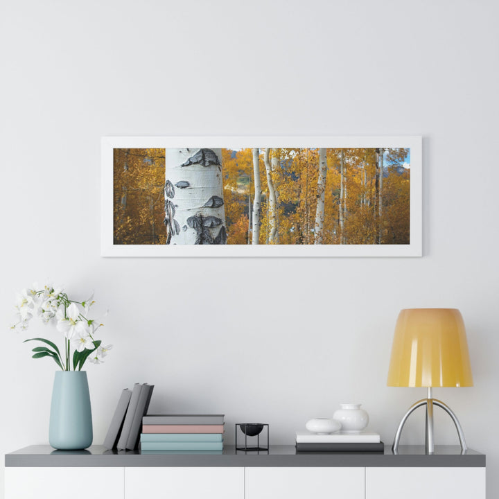 Aspens Changing - Framed Print - Visiting This World