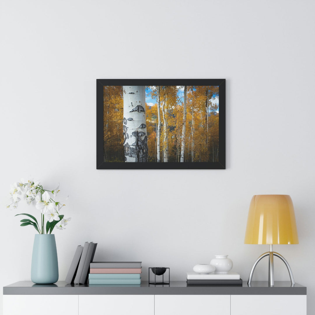 Aspens Changing - Framed Print - Visiting This World