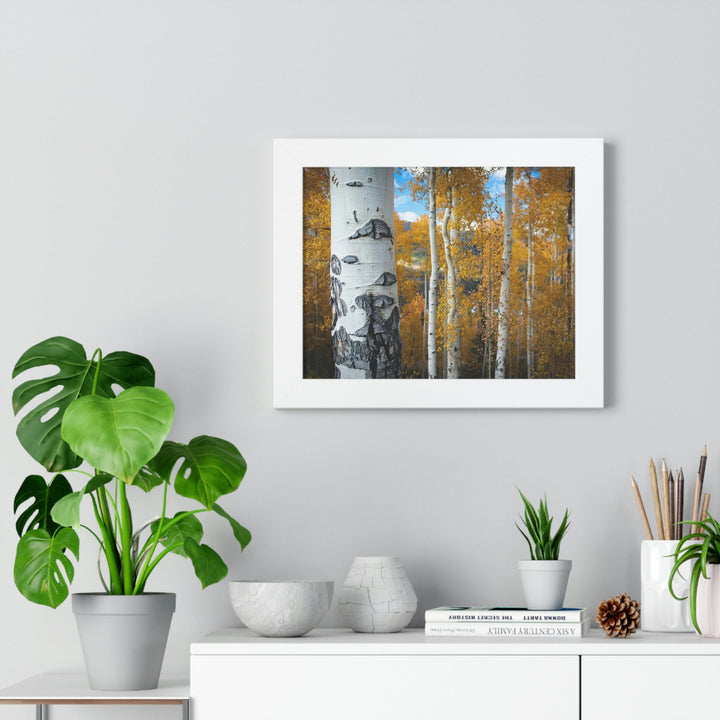 Aspens Changing - Framed Print - Visiting This World