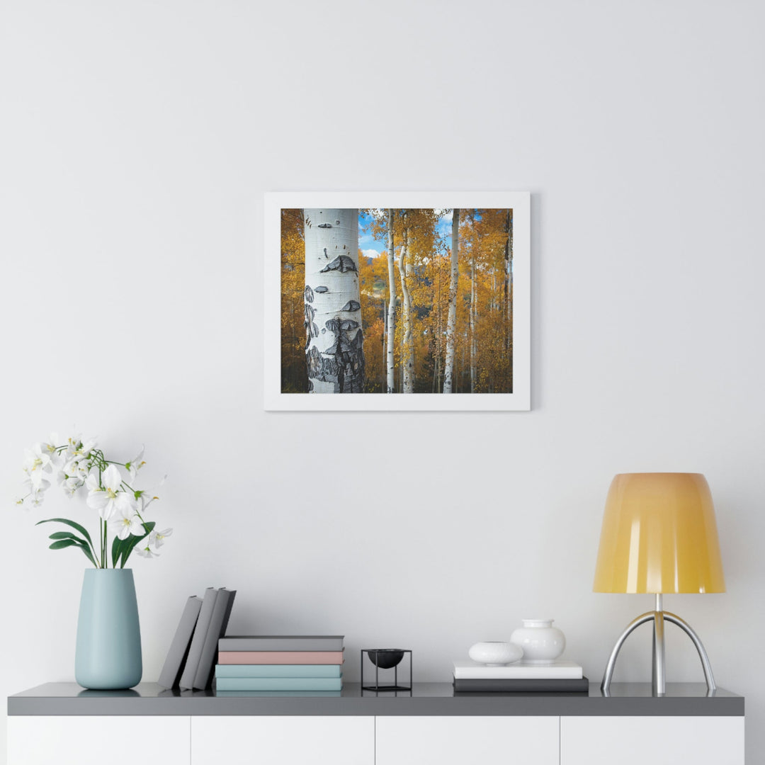 Aspens Changing - Framed Print - Visiting This World