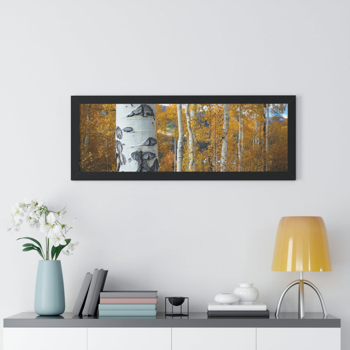 Aspens Changing - Framed Print - Visiting This World