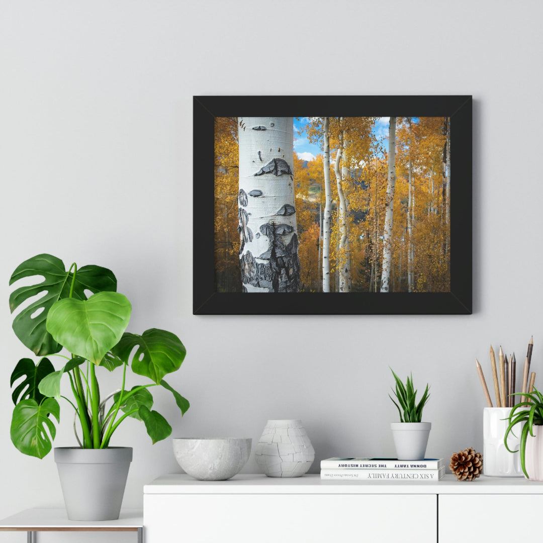 Aspens Changing - Framed Print - Visiting This World