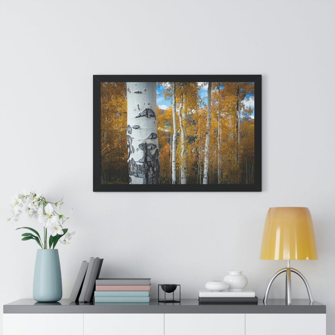 Aspens Changing - Framed Print - Visiting This World