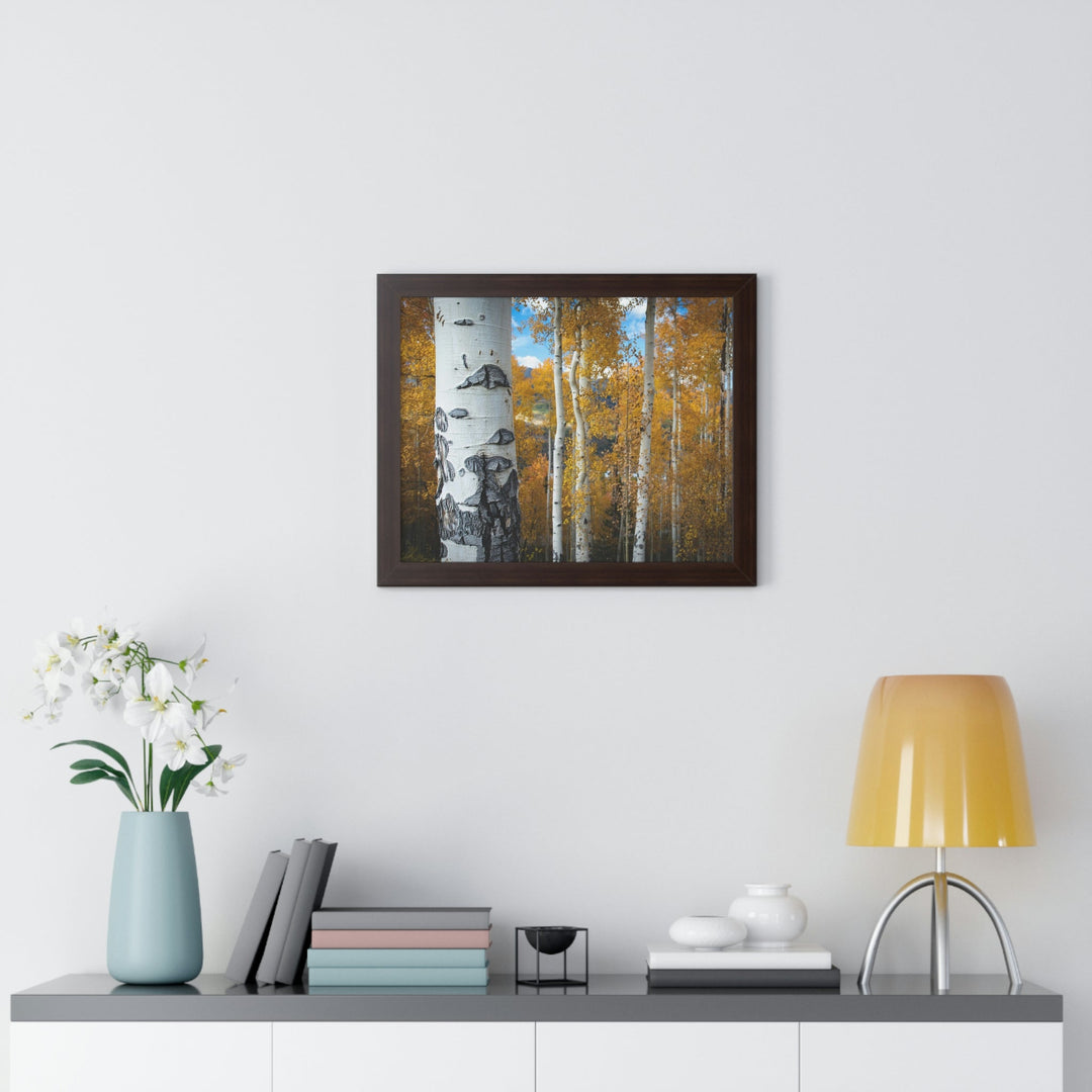 Aspens Changing - Framed Print - Visiting This World