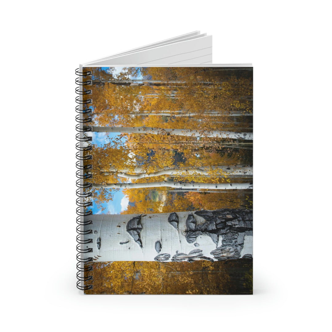 Aspens Changing - Spiral Ruled Line Notebook - Visiting This World