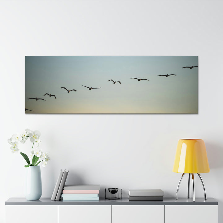 Brown Pelicans in Flight - Canvas