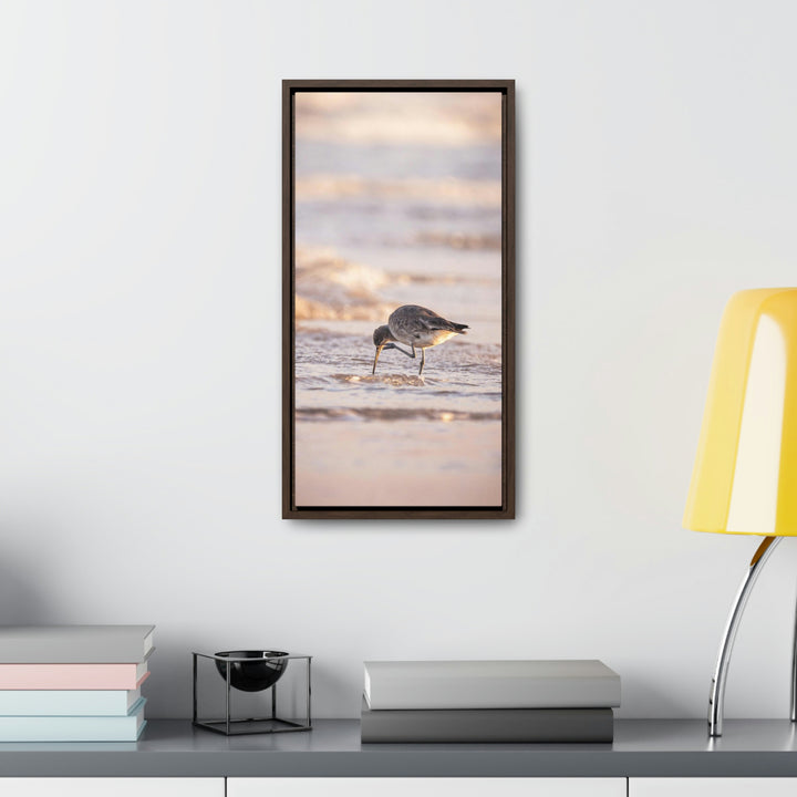 Willet Itch - Canvas with Frame