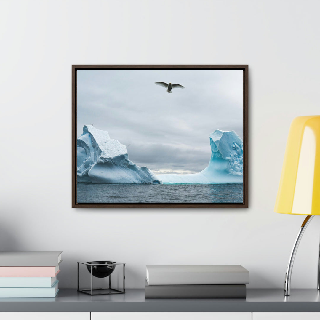 Antarctic Flight - Canvas with Frame