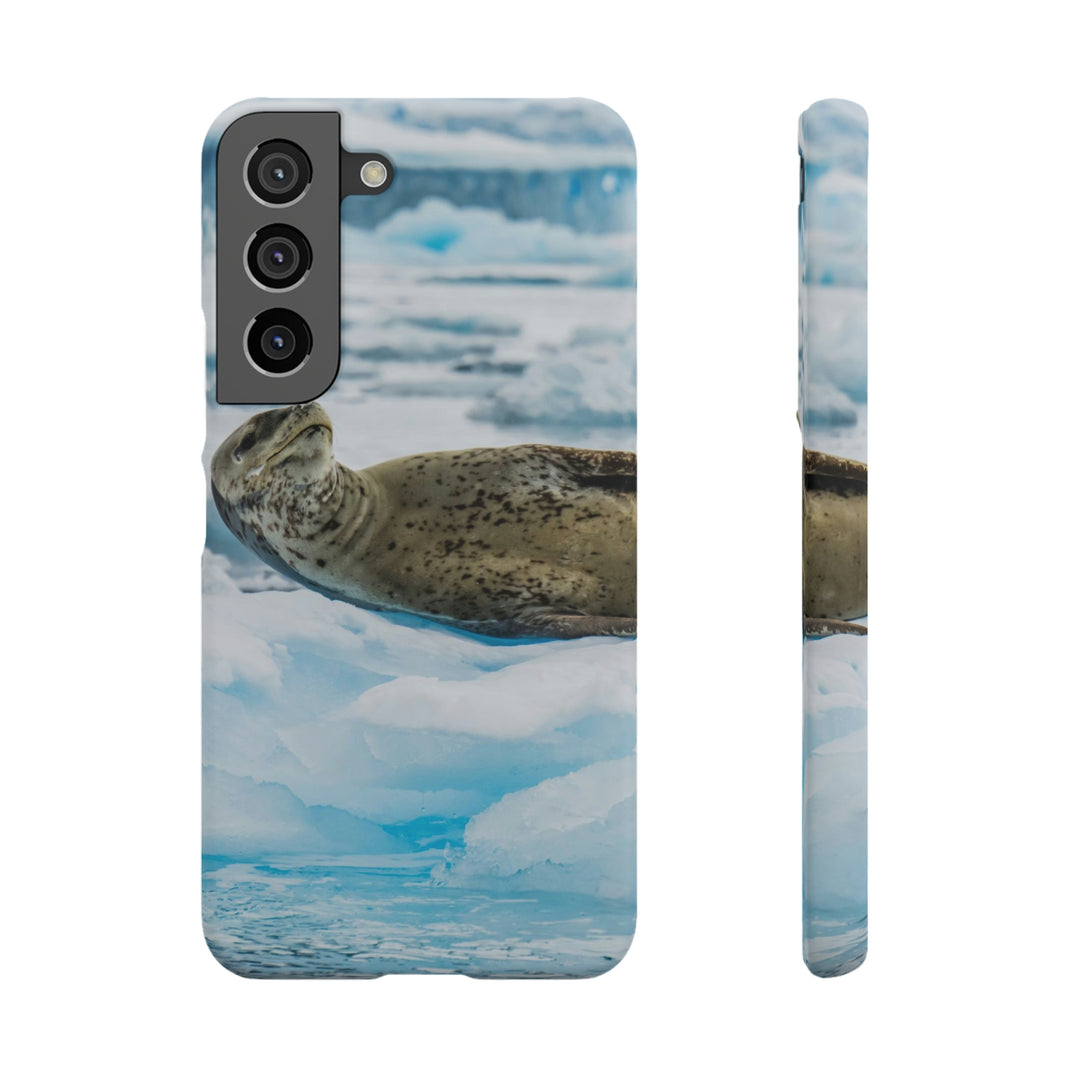 Leopard Seal Relaxing - Phone Case