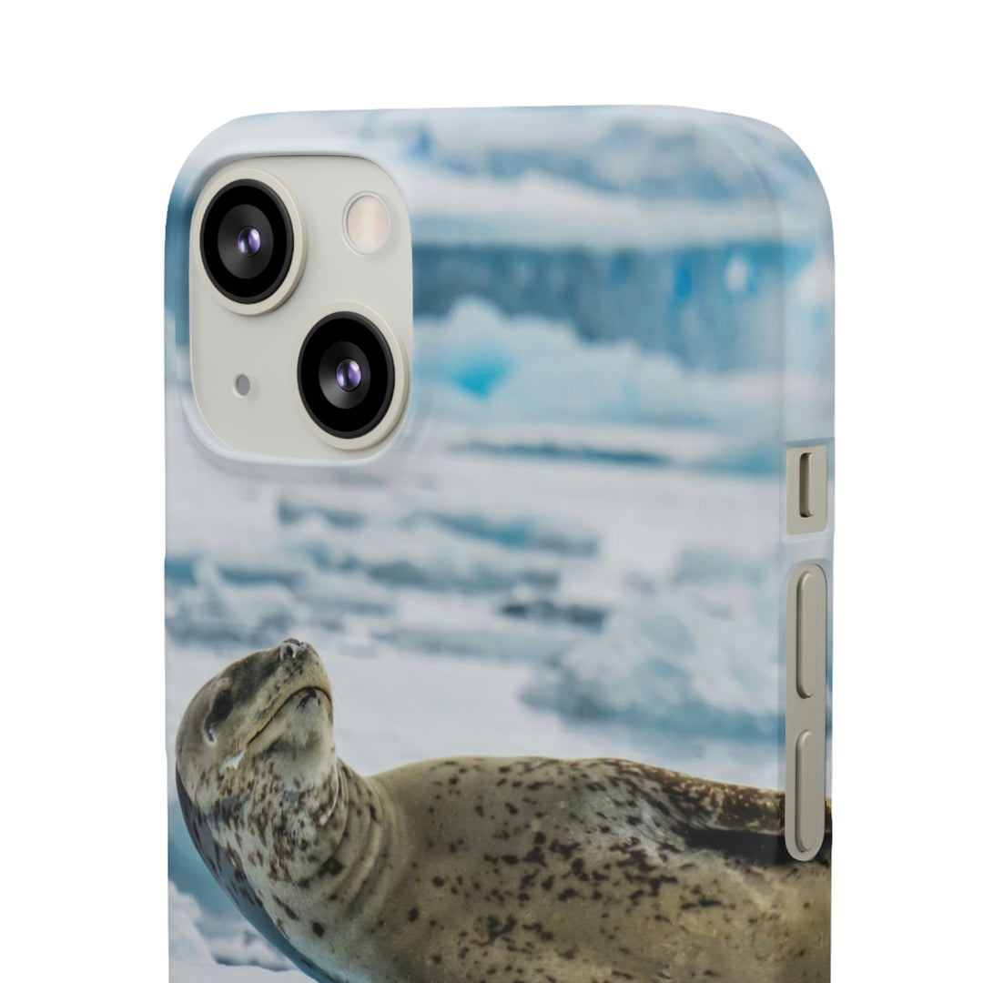 Leopard Seal Relaxing - Phone Case