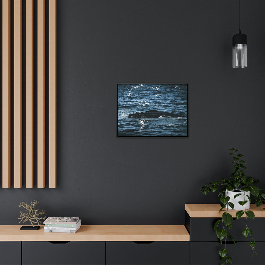 Humpback Hello - Canvas with Frame