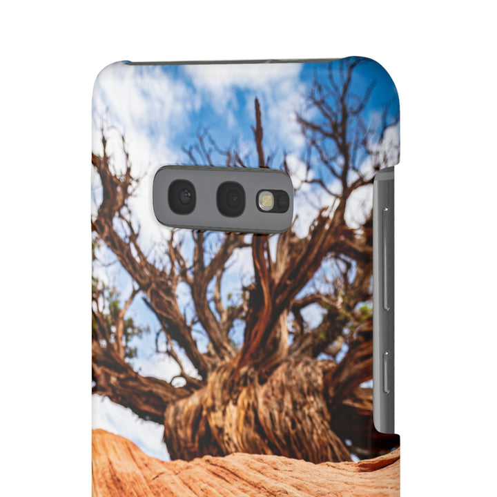 Desert Reach - Phone Case