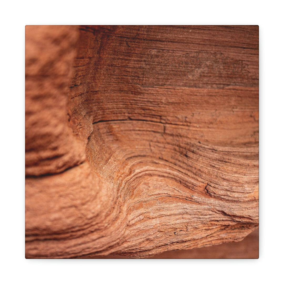 Sedimentary Rock Curves - Canvas