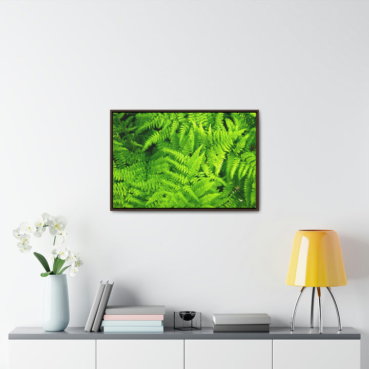 Ferns, Ferns, Ferns - Canvas with Frame