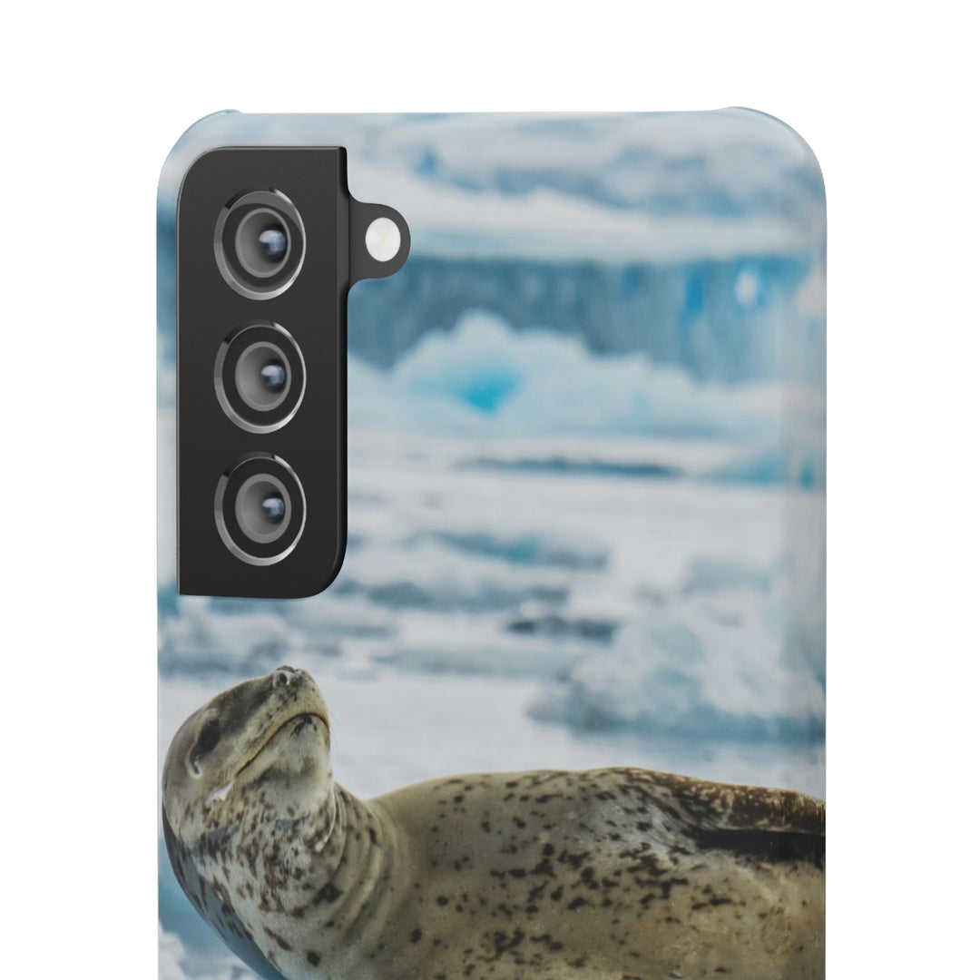 Leopard Seal Relaxing - Phone Case