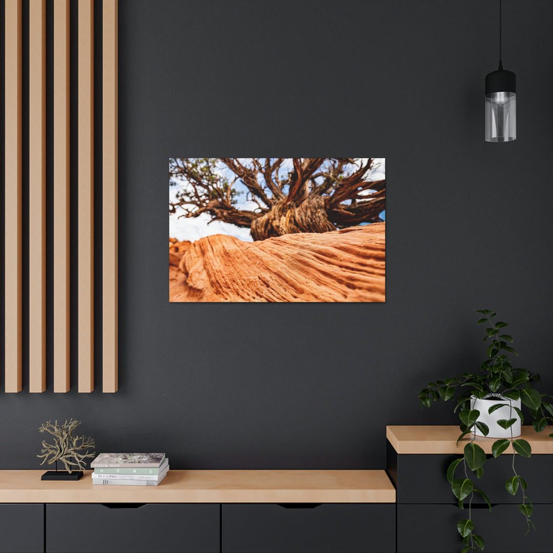 Desert Reach - Canvas