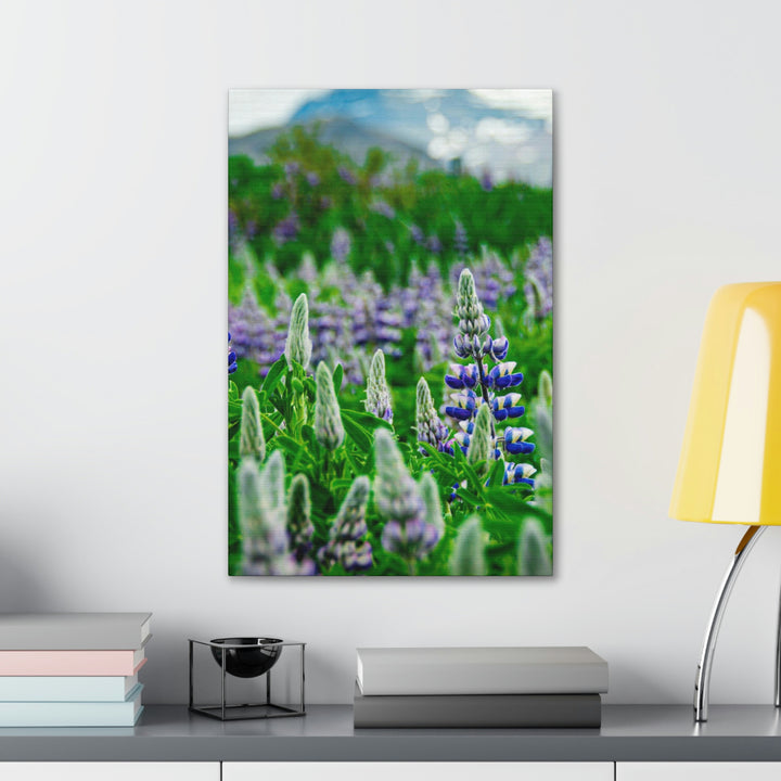 Glowing Lupin with Mountains - Canvas