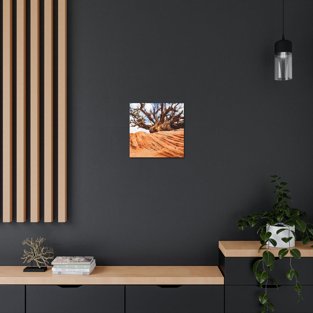 Desert Reach - Canvas