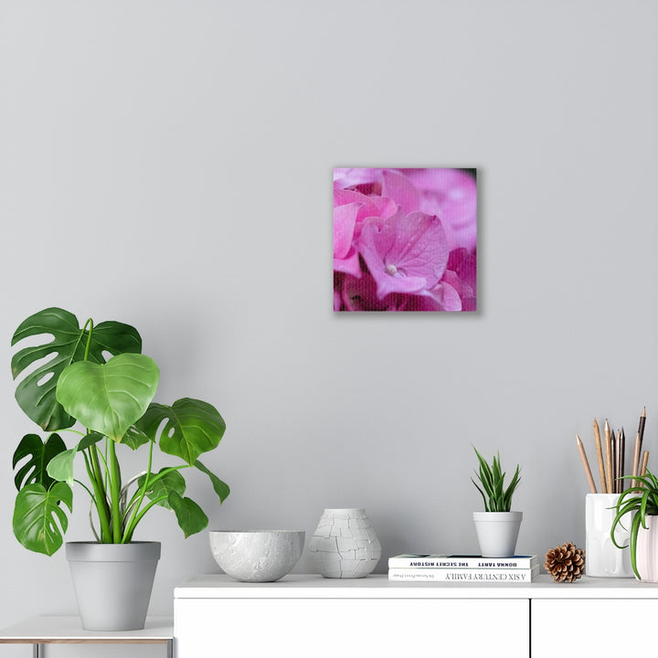 Pink Hydrangea Detail - Canvas