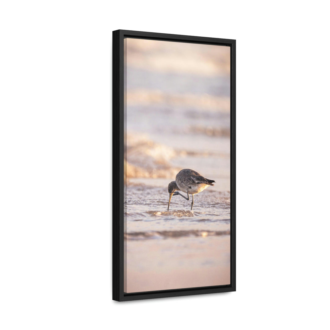 Willet Itch - Canvas with Frame