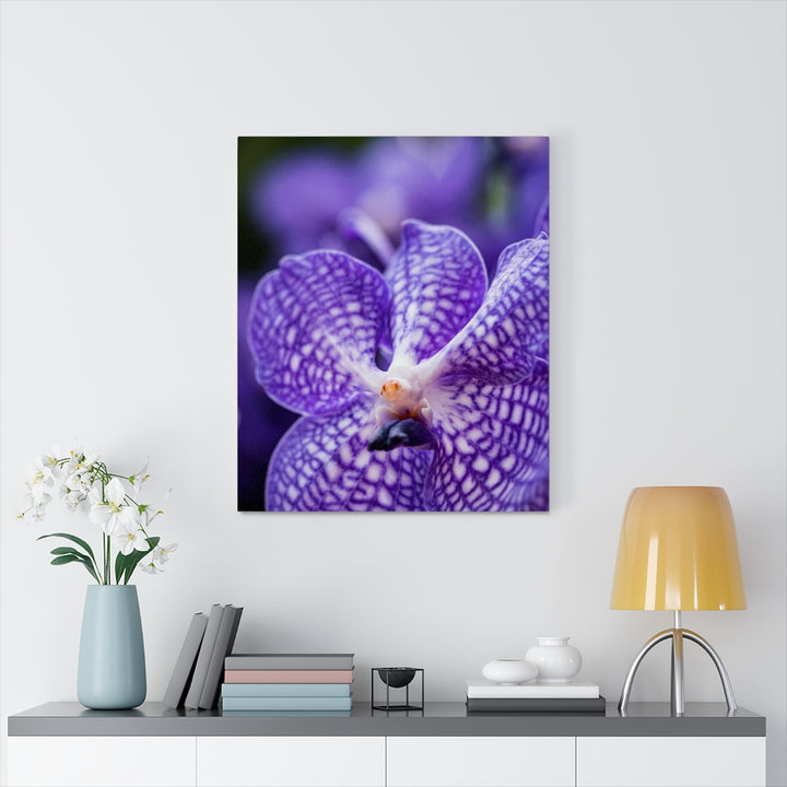 Orchid Detail - Canvas