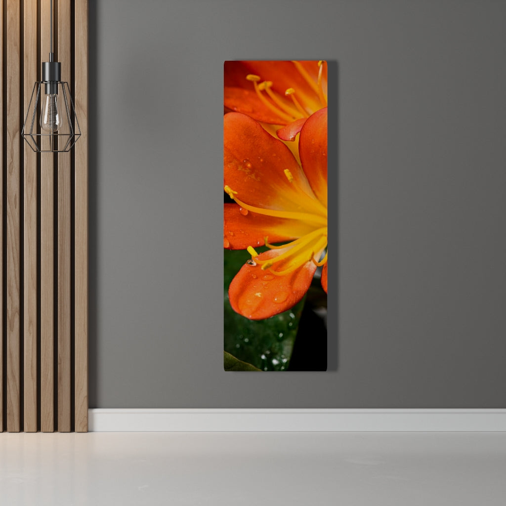 Bright Bush Lily - Canvas