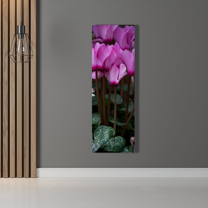 Cyclamen Reach - Canvas