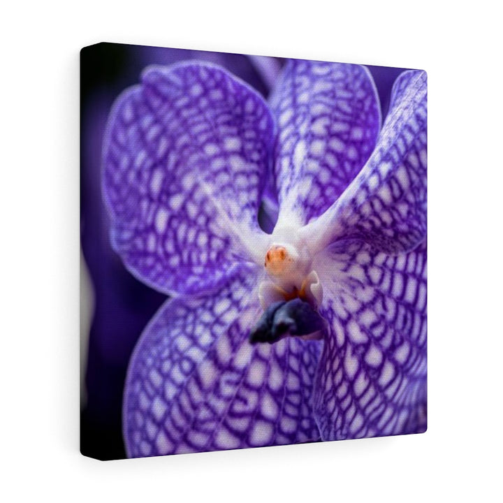 Orchid Detail - Canvas