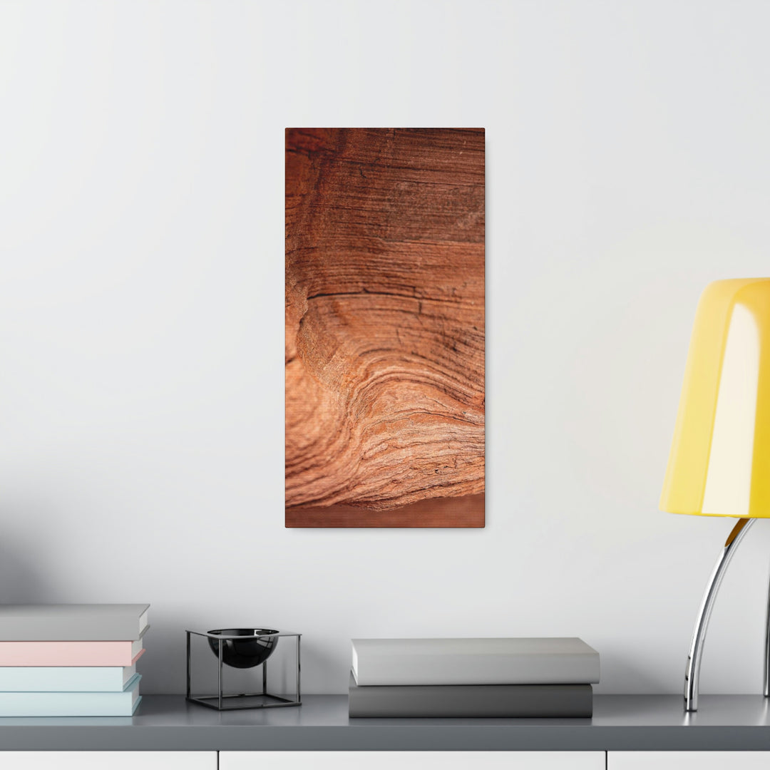 Sedimentary Rock Curves - Canvas