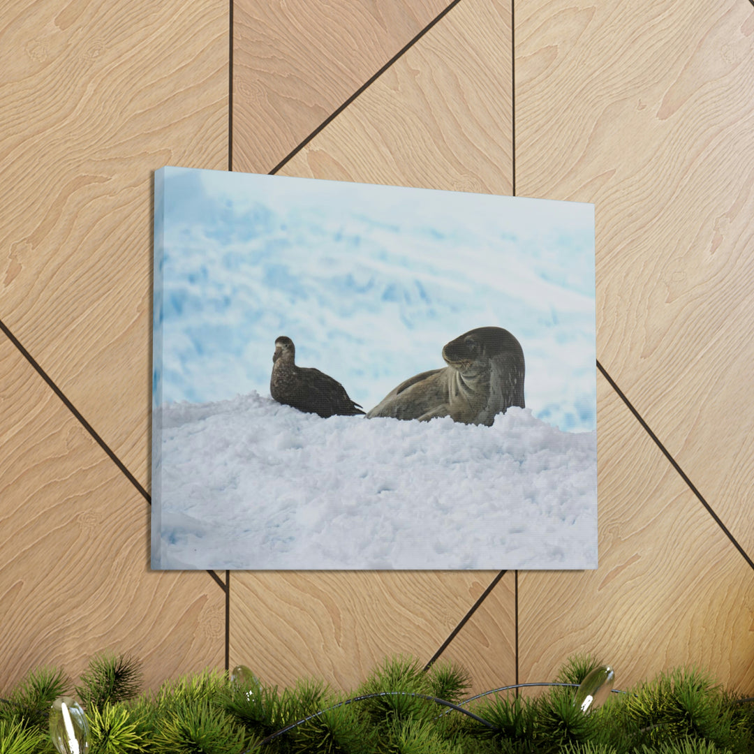 A Resting Pair - Canvas