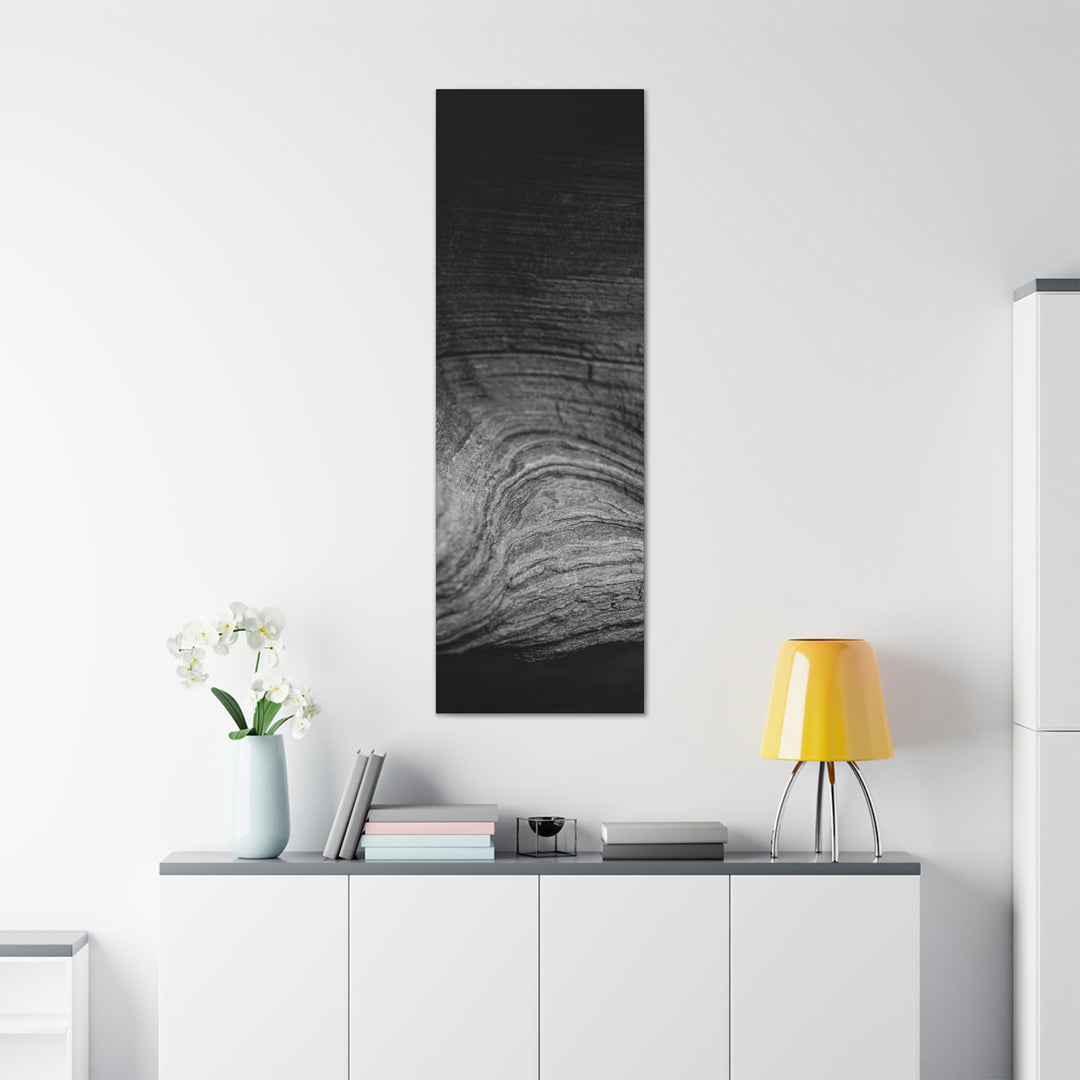 Sedimentary Rock Curves in Black and White - Canvas