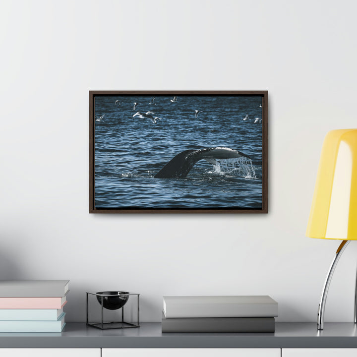 Feeding Tail - Canvas with Frame