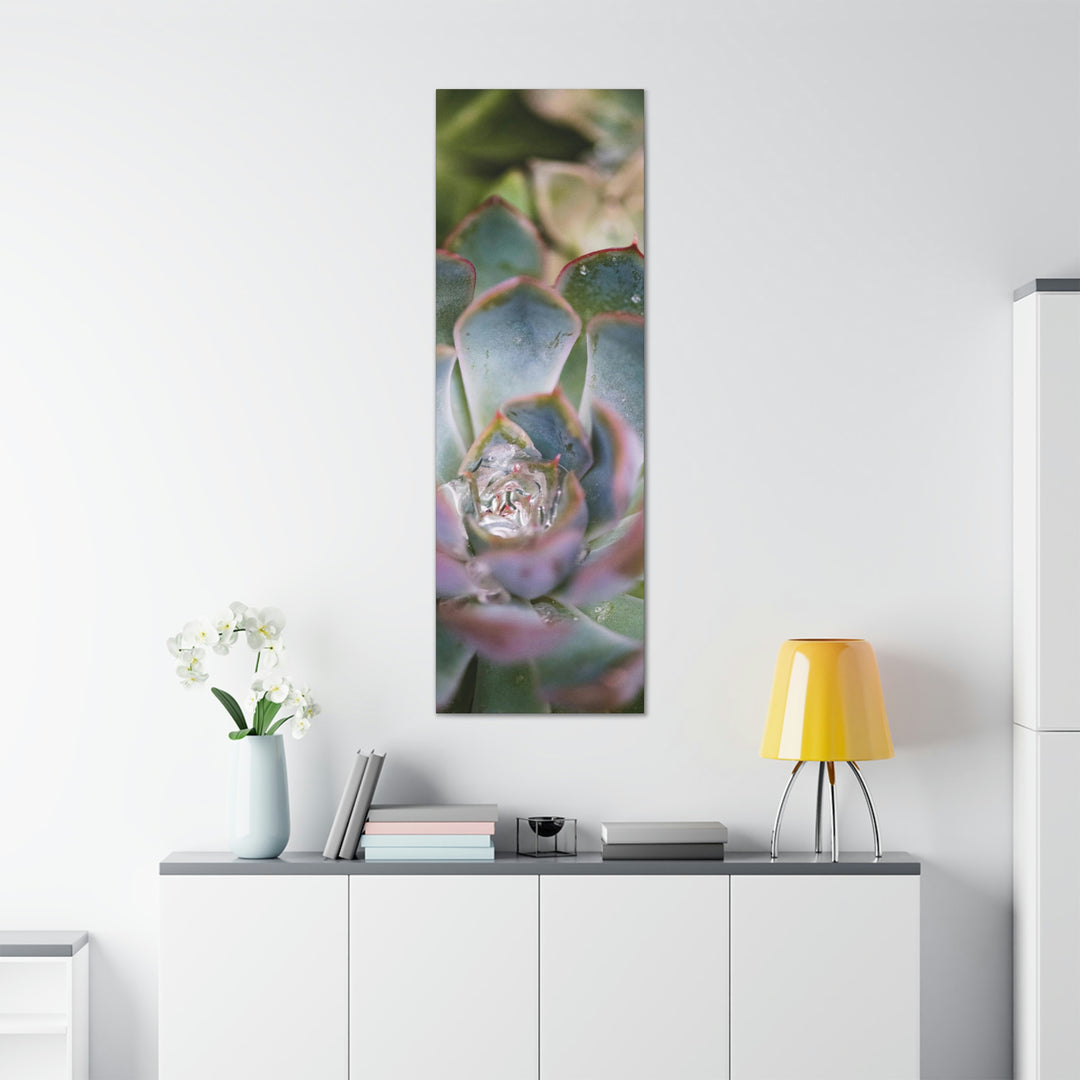 Stunning Succulent - Canvas