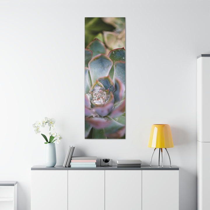 Stunning Succulent - Canvas