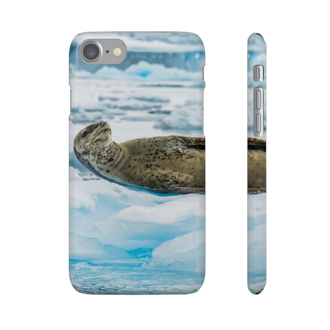 Leopard Seal Relaxing - Phone Case