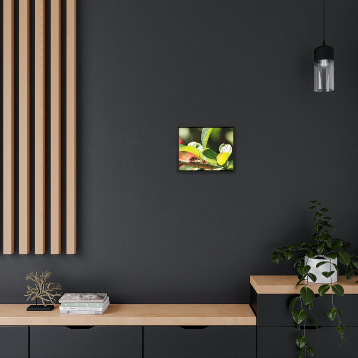 Spotted Investigation - Canvas with Frame