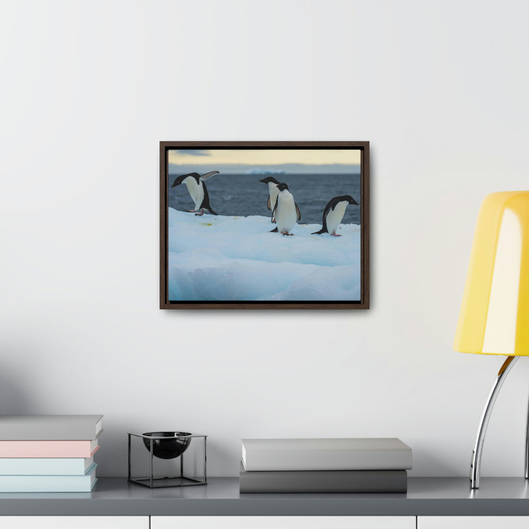 Penguin Dance - Canvas with Frame