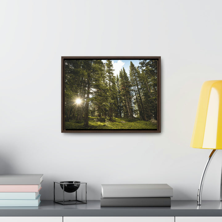 Forest Light - Canvas with Frame