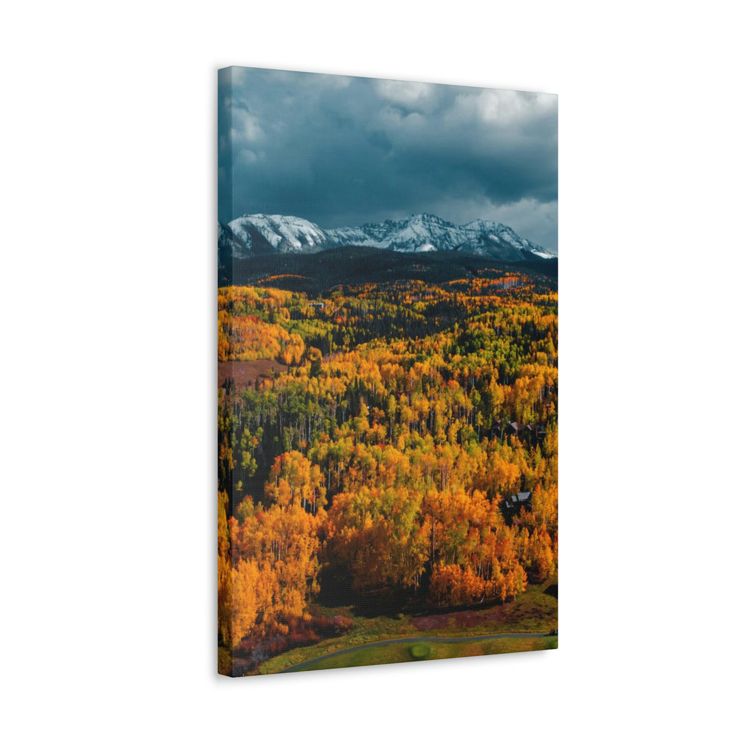 Golds of Autumn - Canvas