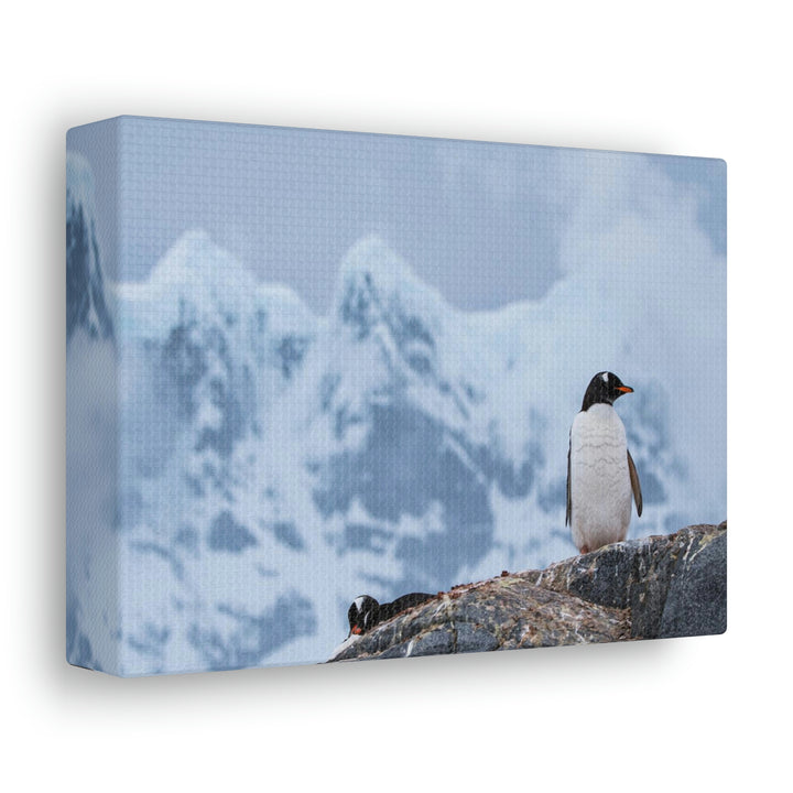 Poised Penguin - Canvas