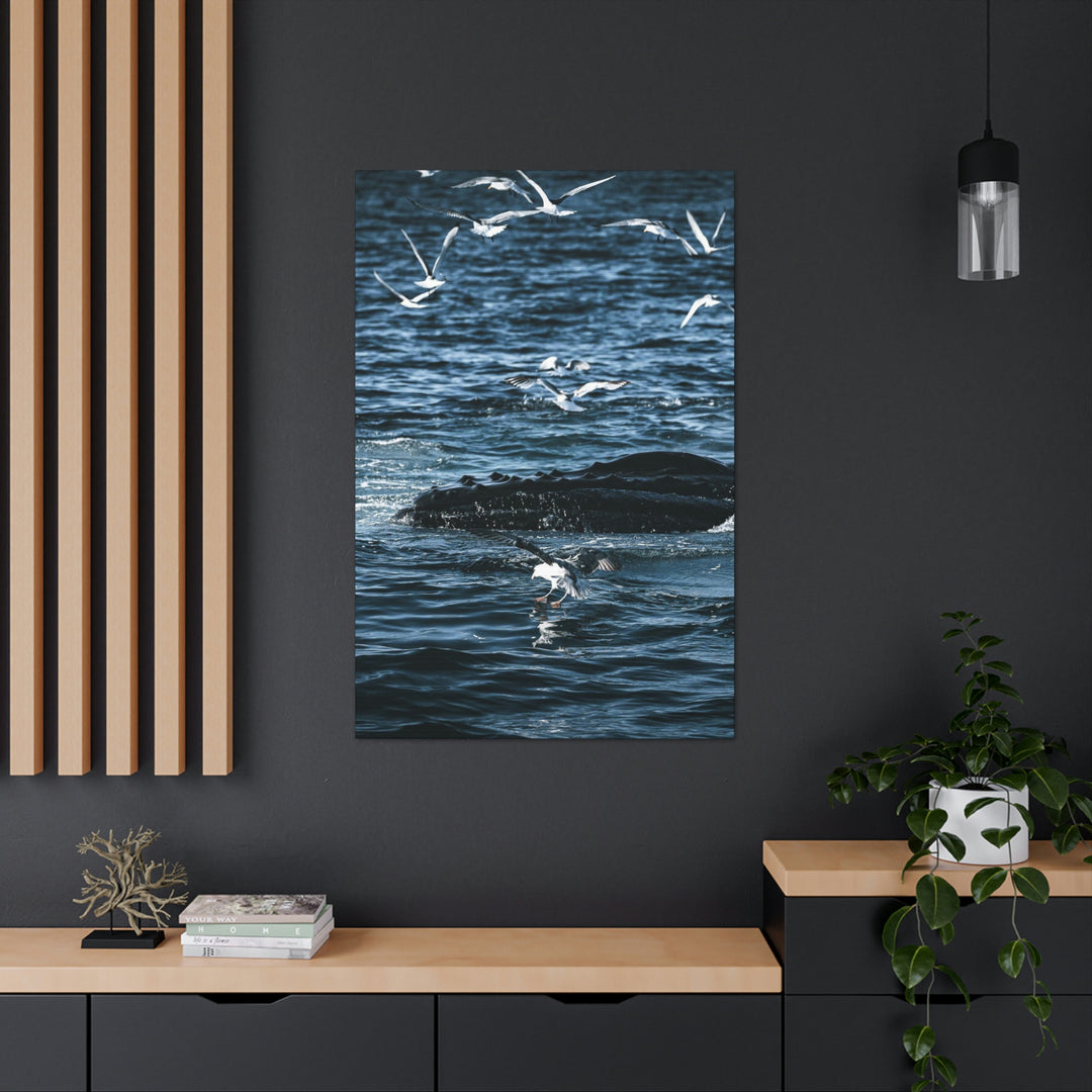 Humpback Hello - Canvas