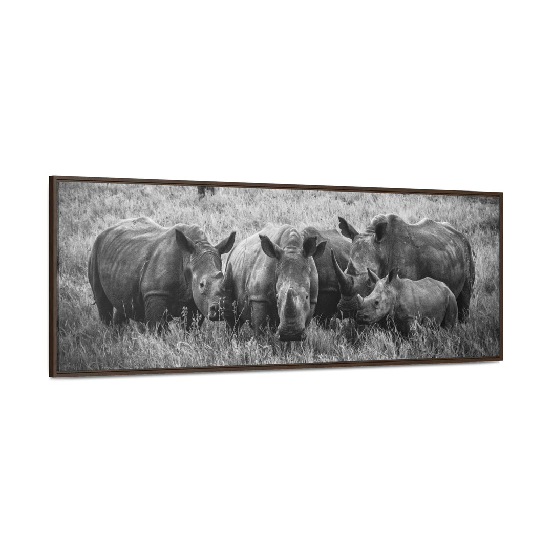 Rhino Family in Black and White - Canvas with Frame