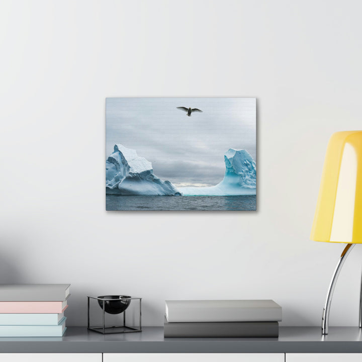 Antarctic Flight - Canvas